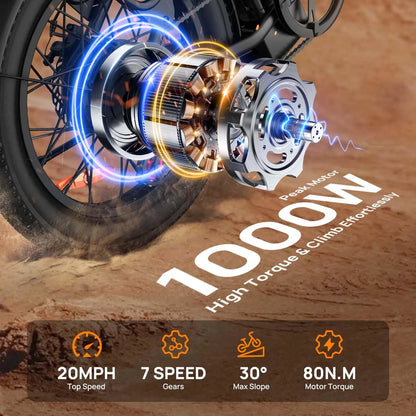 Electric Bike, 48V 13Ah Removable Battery, 20MPH, 20''X3" Fat Tire, 7-Speed, Dual Disc Brake