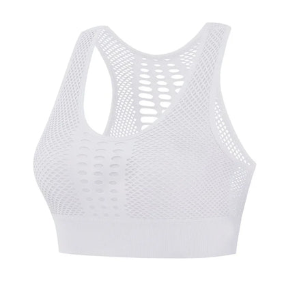 Seamless, Breathable, Active, Mesh Sports Bra, Push-Up, Fitness, Yoga, Running