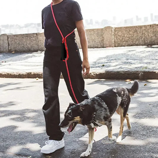 Hands Free Dog Leash, 3M Long, Waterproof, Reflective, Double-headed