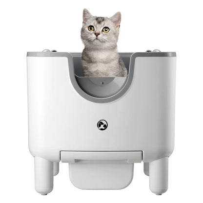 Self-Cleaning Litter Box, Open-Top, Automatic, Odor Control, Safety Features, Easy Maintenance