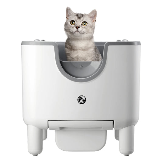 Self-Cleaning Litter Box, Open-Top, Automatic, Odor Control, Safety Features, Easy Maintenance