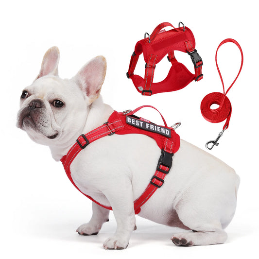 Small/Medium Dog Leash Harness Set, Reflective Vest, Rope Walking Gear