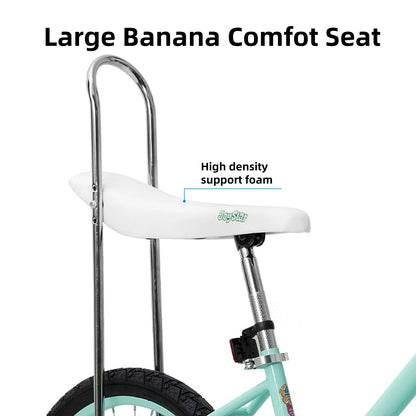 20 Inch Girls Bike, Training Wheels, Banana Seat, Handbrake, Coaster Brake