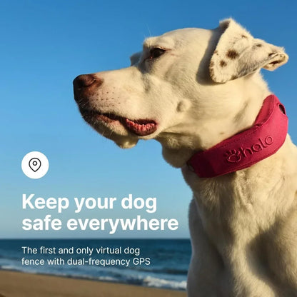 GPS Wireless Dog Fence, Training Collar, Real-Time Tracking, Waterproof