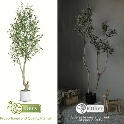 2 Pack Faux Olive Tree Tall, Artificial, Indoor, White Planter, Green Moss