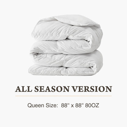 JHK Comforter, Corner Tabs, Box Stitched, Easy To Wash Bedding