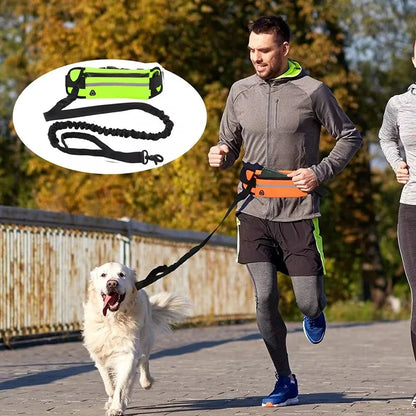 Hands Free Dog Leash for Running/Walking, Reflective Leash with Waist Bag, Retractable Elastic Belt