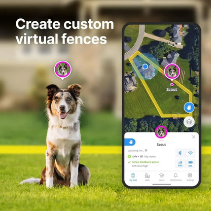 GPS Wireless Dog Fence, Training Collar, Real-Time Tracking, Waterproof