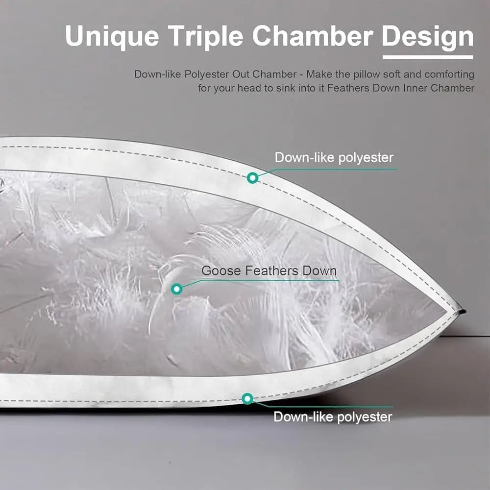 Medium Firm Down Feather Pillow Set, 2 King Size, Luxury Organic Cotton Cover, Support Side/Back