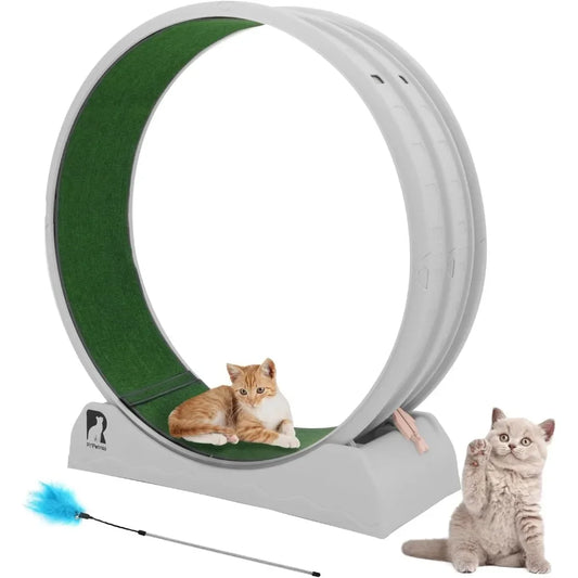 Cat Exercise Wheel, Treadmill, Carpeted Runway
