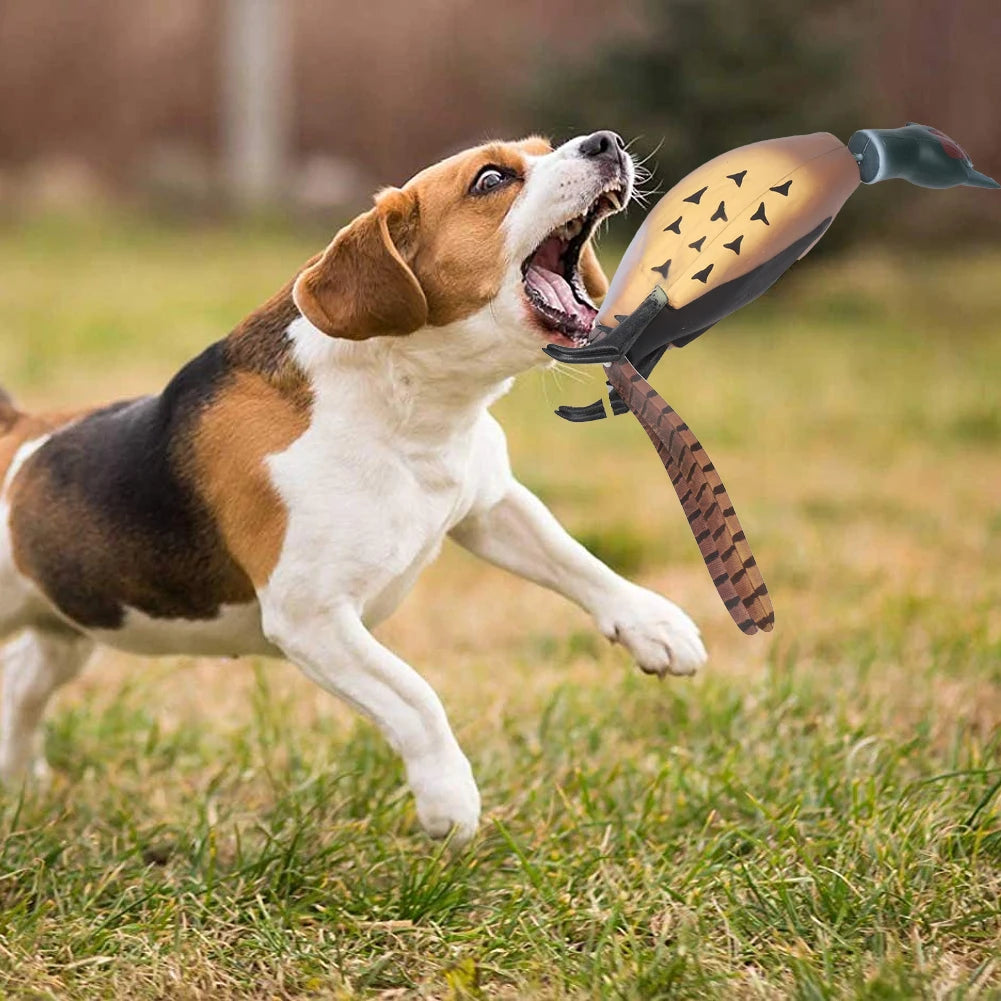Pheasant Dummy, Interactive Training Toy, Hunting Retriever  Dog