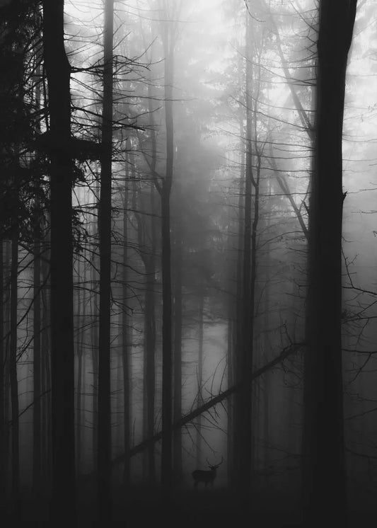 Beautiful Dark Green Forest, Foggy Mountain Landscape, Nature Scenery Poster, Canvas Painting Wall Art Pictures