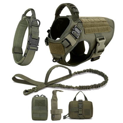 All Sizes, Dog Harness, Leash, Training Walking Vest
