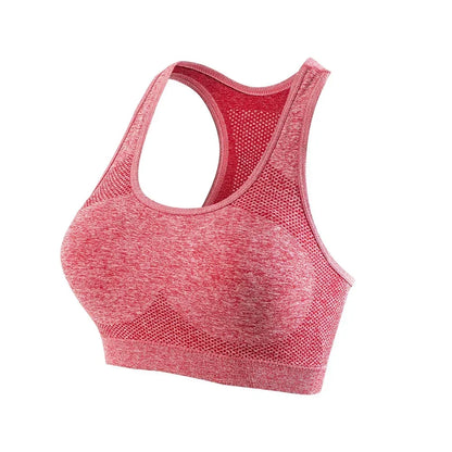 Women Sports Bra, Top Push Up, Fitness. Yoga, Breathable