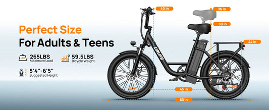 Electric Bike, 48V 13Ah Removable Battery, 20MPH, 20''X3" Fat Tire, 7-Speed, Dual Disc Brake