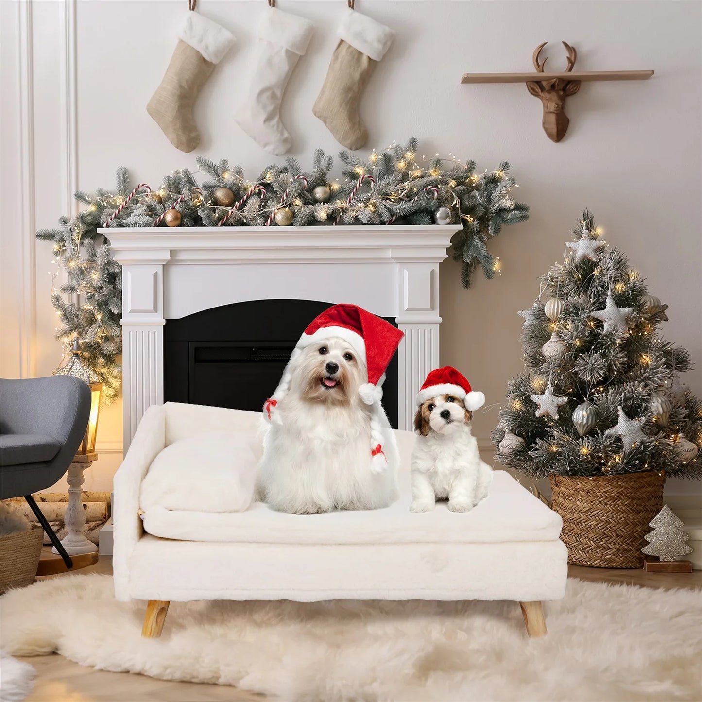Nordic Elevated Pet Bed, Cozy Pad Waterproof, Sturdy Wood Legs
