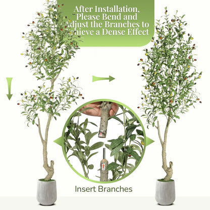 2 Pack Faux Olive Tree Tall, Artificial, Indoor, White Planter, Green Moss
