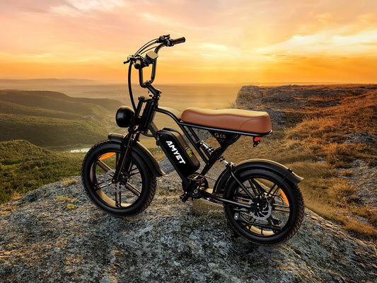 Electric Bike, 1000W Motor, 48V 20AH, 20“ Tire, Mountain Moped