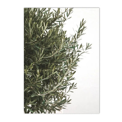 Spanish Italy Puglia Architecture Posters, Canvas Painting, Green Leaves, Indoor Plants, Wall Art Print Pictures