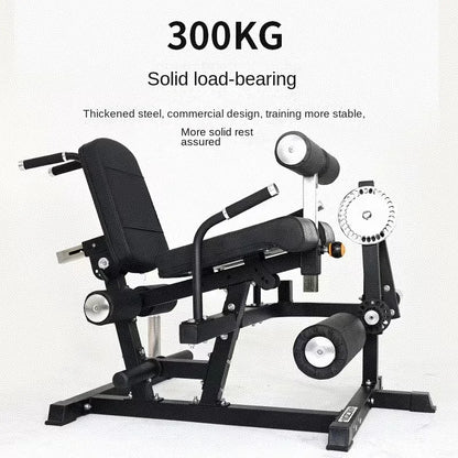 Multifunctional Flexion And Extension Training Machine, Leg Extension, Curling, Waist/Abdominal Bench