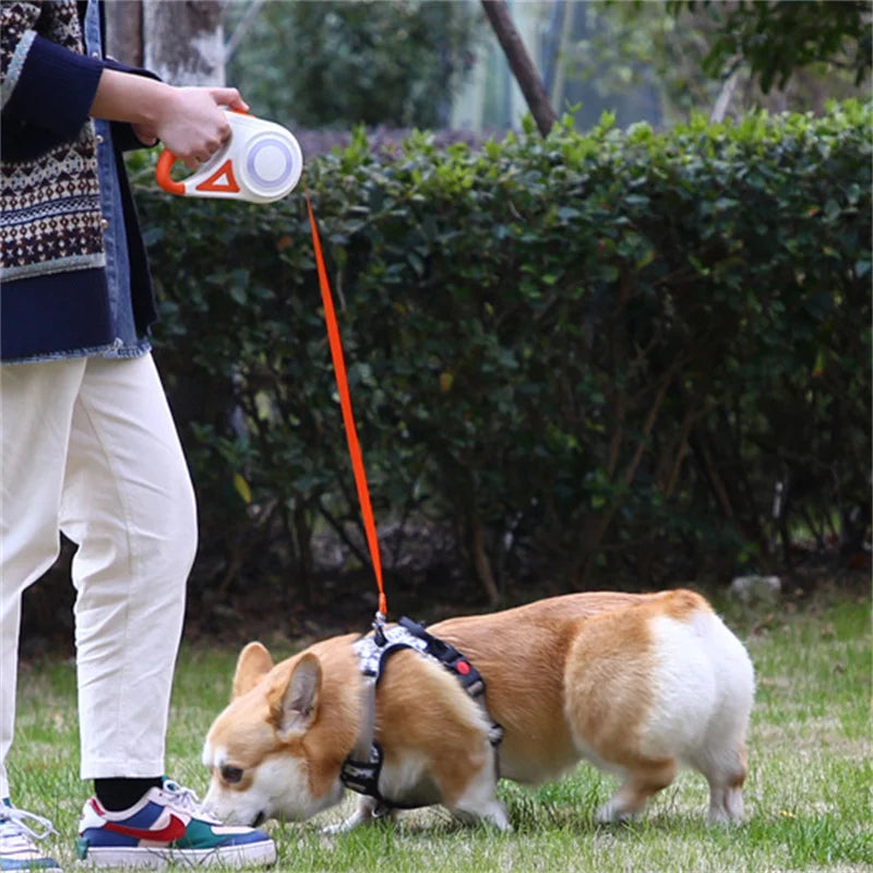 5M Automatic Retractable Dog Leash, Led Flashlight, Durable Nylon Lead