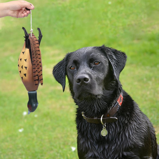 Pheasant Dummy, Interactive Training Toy, Hunting Retriever  Dog