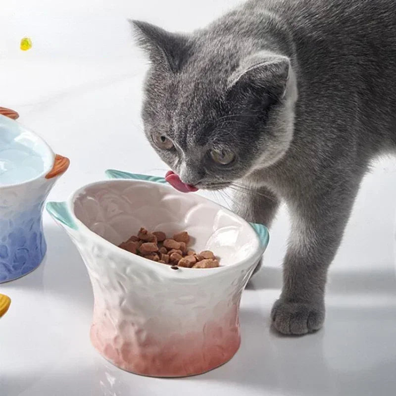 Pet Feeder/Water Ceramic Elevated Dishes Decorative
