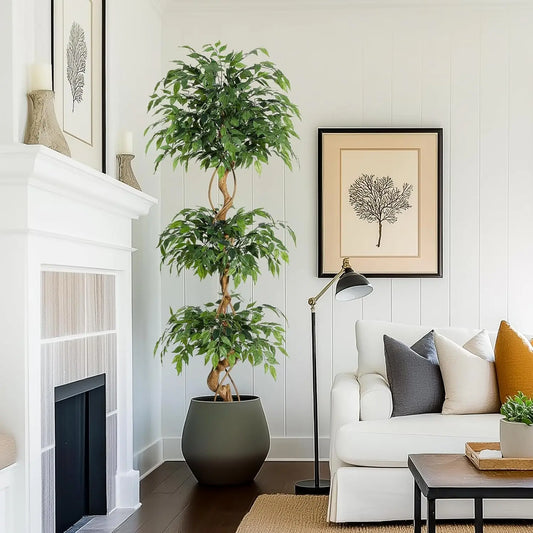 Ficus Tree Artificial, Indoor, White Pot