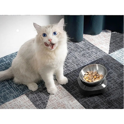 Pet Feeder Stainless Steel Single Bowl with Stand 15 Degree Adjustable