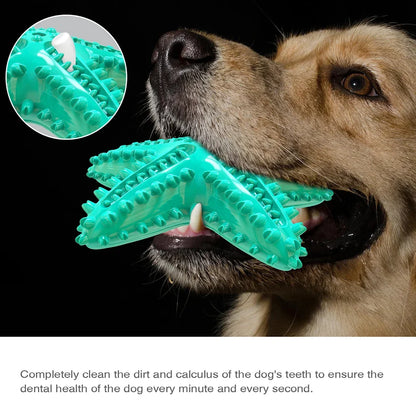 Starfish Squeaky Chew Toys,  Small-Large Dog, Indestructible Rubber, Teeth Cleaning