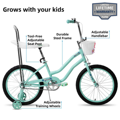 20 Inch Girls Bike, Training Wheels, Banana Seat, Handbrake, Coaster Brake